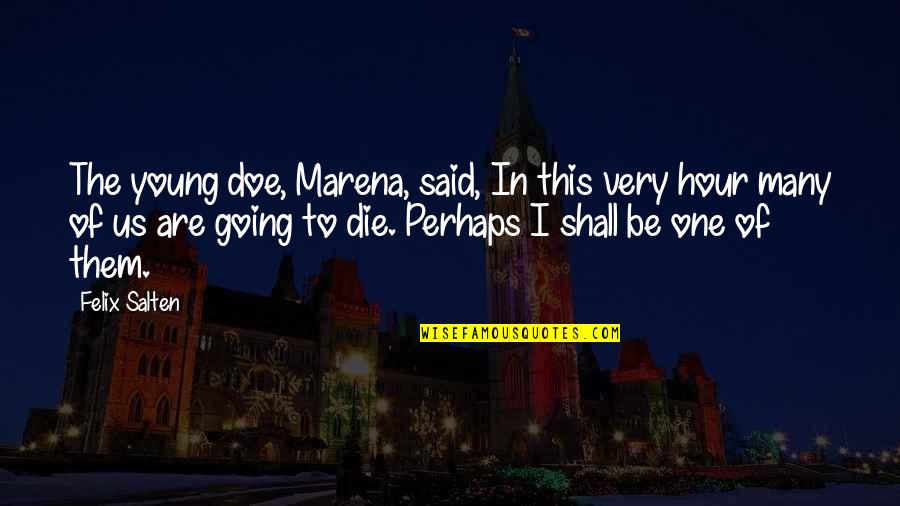 So Young To Die Quotes By Felix Salten: The young doe, Marena, said, In this very