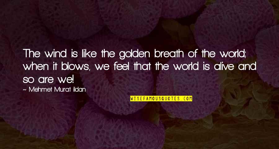 Soakaway Quotes By Mehmet Murat Ildan: The wind is like the golden breath of