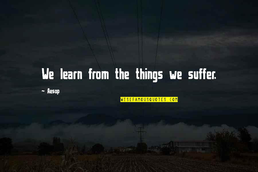 Soaking Up Life Quotes By Aesop: We learn from the things we suffer.