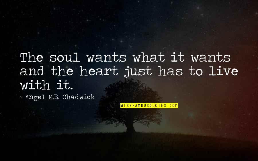 Soaking Up Life Quotes By Angel M.B. Chadwick: The soul wants what it wants and the