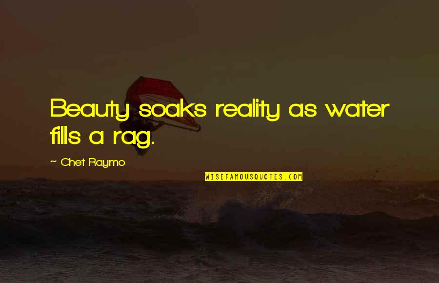 Soaks Quotes By Chet Raymo: Beauty soaks reality as water fills a rag.