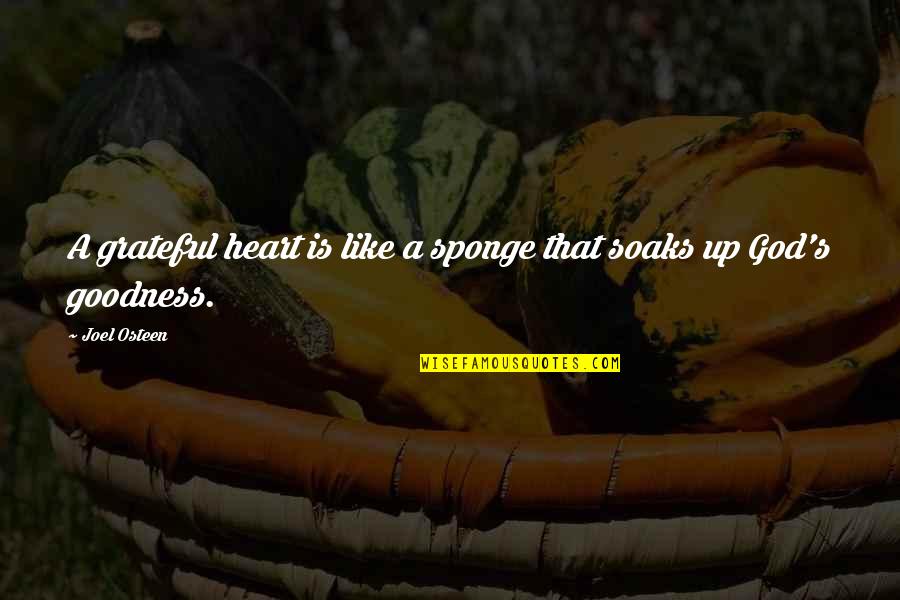 Soaks Quotes By Joel Osteen: A grateful heart is like a sponge that