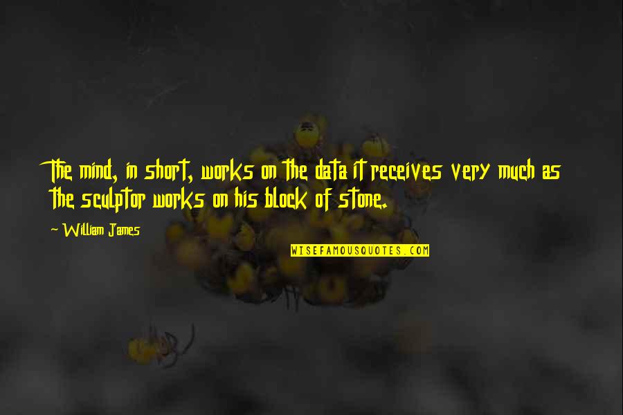 Soanen Quotes By William James: The mind, in short, works on the data Soanen Quotes By William James: The mind, in short, works on the data