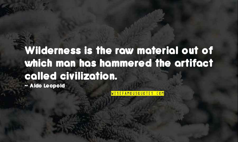 Soap Favor Quotes By Aldo Leopold: Wilderness is the raw material out of which