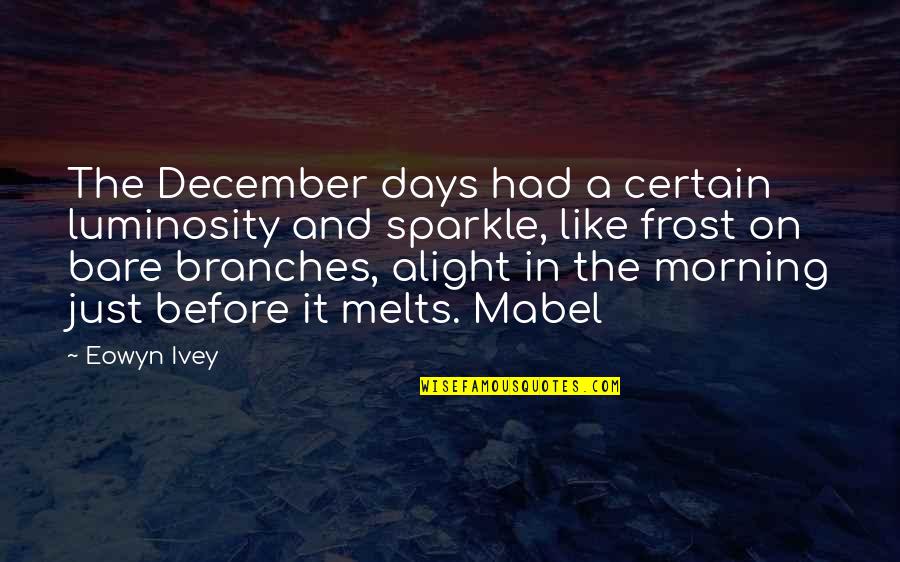 Soapstone Quotes By Eowyn Ivey: The December days had a certain luminosity and