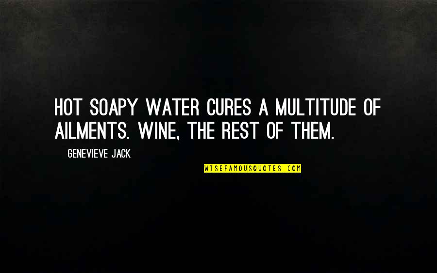 Soapy Quotes By Genevieve Jack: Hot soapy water cures a multitude of ailments.
