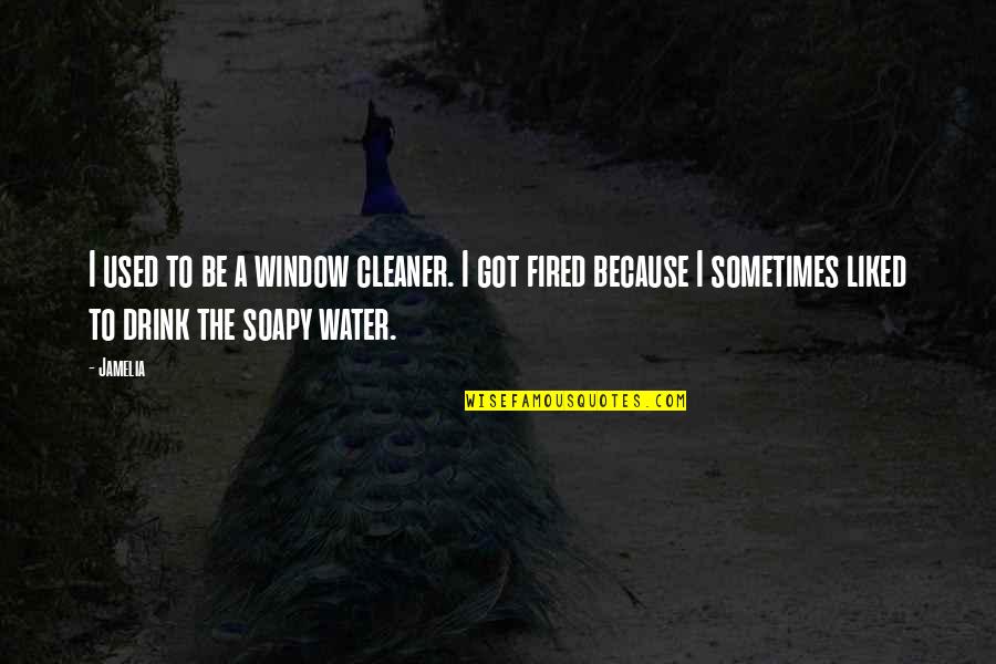 Soapy Quotes By Jamelia: I used to be a window cleaner. I