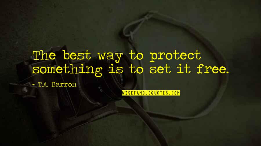 Soar Above Quotes By T.A. Barron: The best way to protect something is to