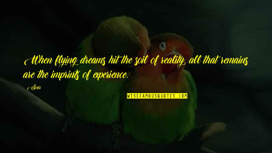 Soar Dreams Quotes By Soar: When flying dreams hit the soil of reality,