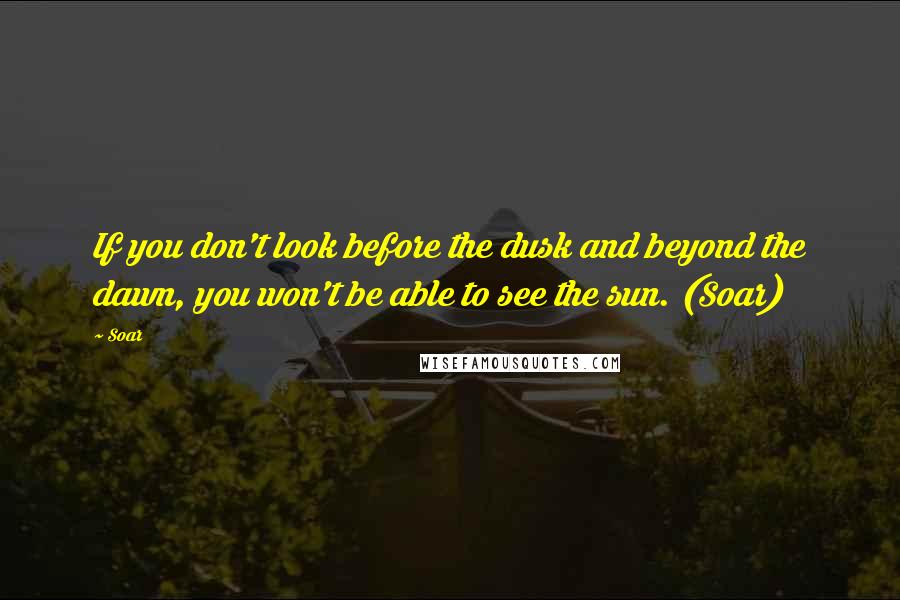 Soar quotes: If you don't look before the dusk and beyond the dawn, you won't be able to see the sun. (Soar)