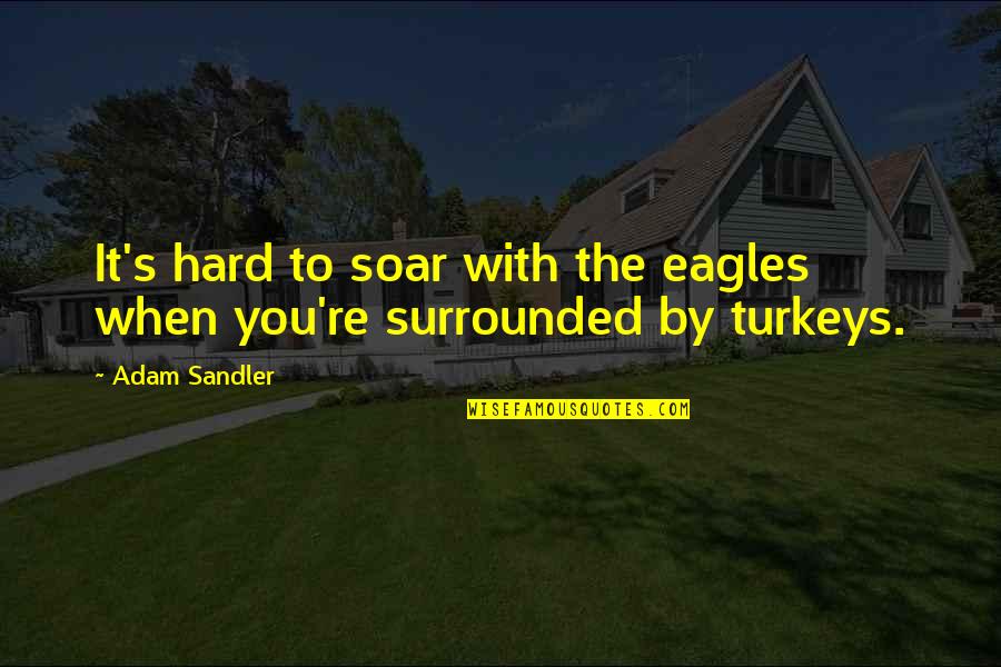 Soar'd Quotes By Adam Sandler: It's hard to soar with the eagles when