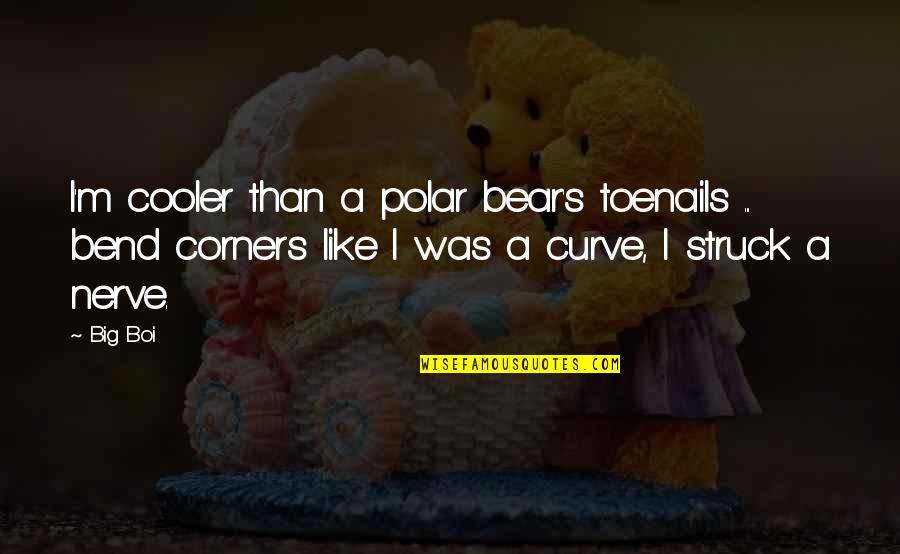 Soaring In The Sky Quotes By Big Boi: I'm cooler than a polar bear's toenails ...