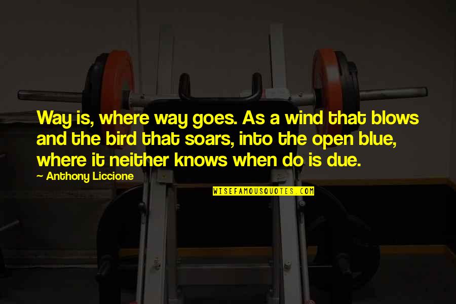 Soars Quotes By Anthony Liccione: Way is, where way goes. As a wind Soars Quotes By Anthony Liccione: Way is, where way goes. As a wind