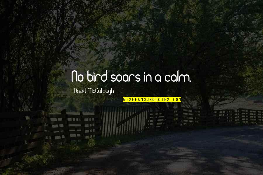 Soars Quotes By David McCullough: No bird soars in a calm. Soars Quotes By David McCullough: No bird soars in a calm.