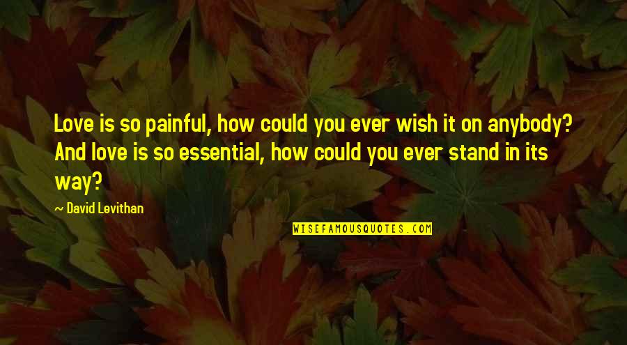 Sob E Barat Quotes By David Levithan: Love is so painful, how could you ever