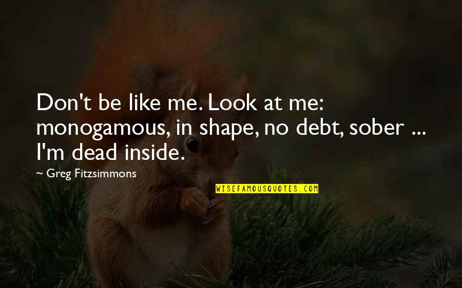 Sober Look Quotes By Greg Fitzsimmons: Don't be like me. Look at me: monogamous, Sober Look Quotes By Greg Fitzsimmons: Don't be like me. Look at me: monogamous,