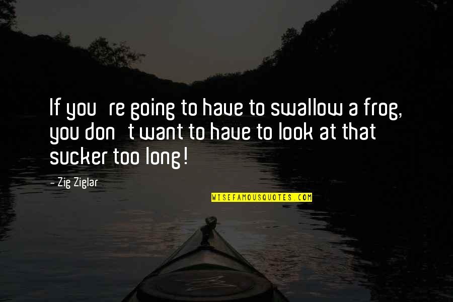 Soberanes Canyon Quotes By Zig Ziglar: If you're going to have to swallow a Soberanes Canyon Quotes By Zig Ziglar: If you're going to have to swallow a