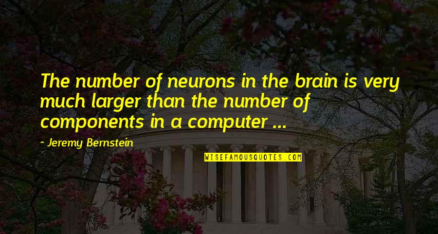 Soberbia Translation Quotes By Jeremy Bernstein: The number of neurons in the brain is
