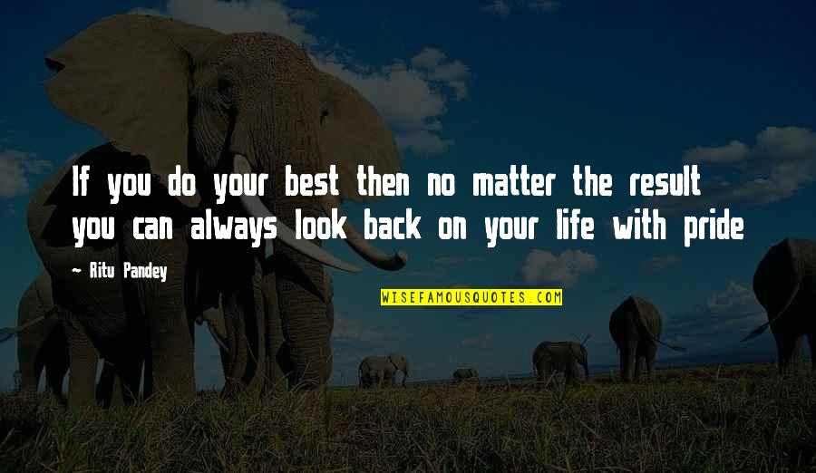 Sobersis Quotes By Ritu Pandey: If you do your best then no matter Sobersis Quotes By Ritu Pandey: If you do your best then no matter