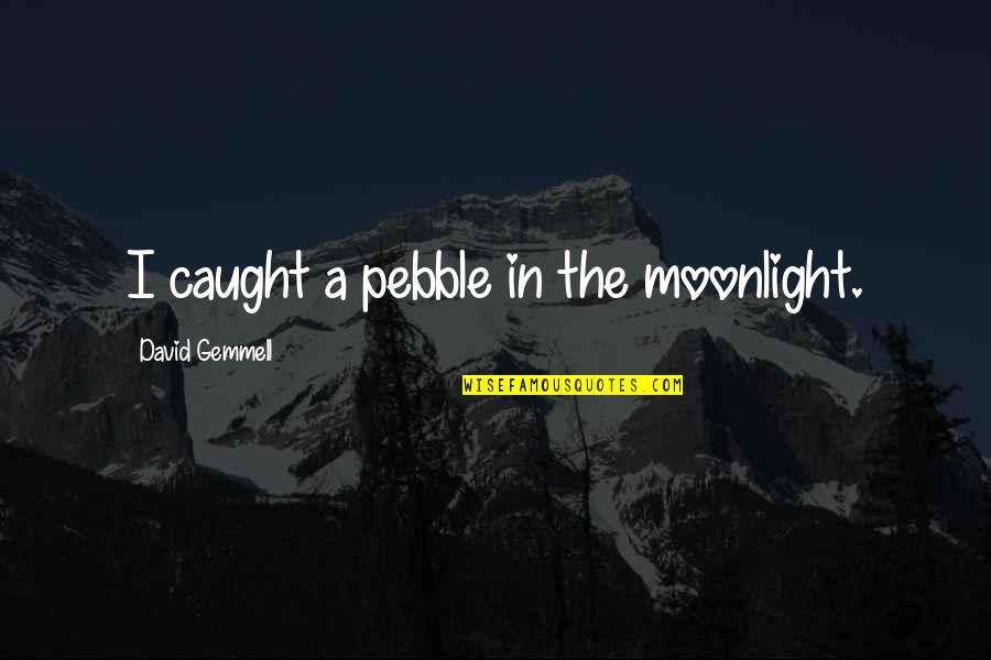 Sobesuccs Quotes By David Gemmell: I caught a pebble in the moonlight.