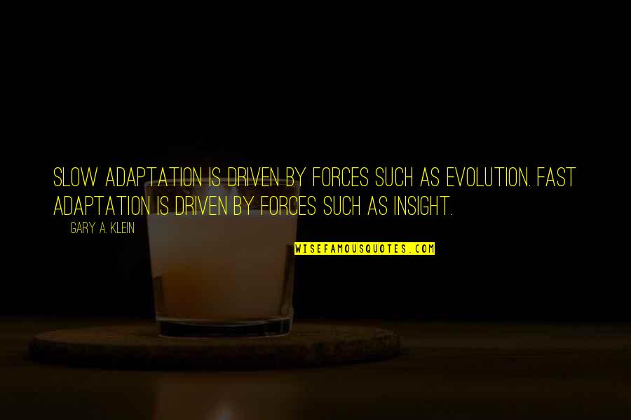 Sobrang Selos Quotes By Gary A. Klein: Slow adaptation is driven by forces such as