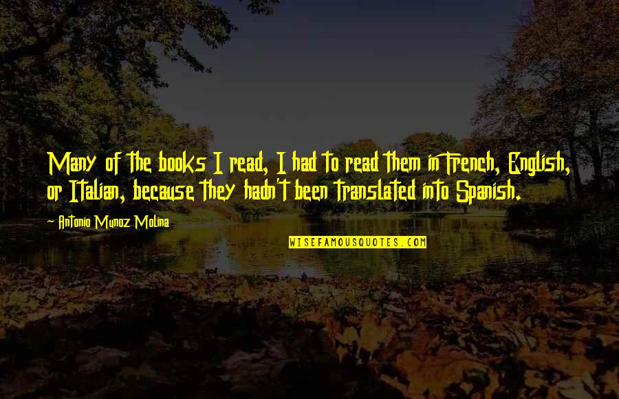 Sobreestimar Definicion Quotes By Antonio Munoz Molina: Many of the books I read, I had