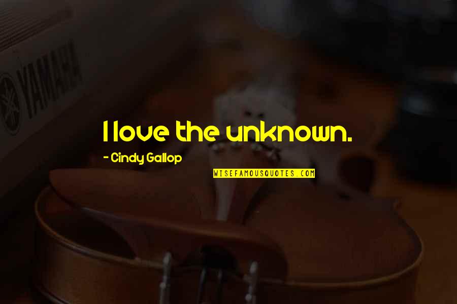 Sobrevivo In English Quotes By Cindy Gallop: I love the unknown. Sobrevivo In English Quotes By Cindy Gallop: I love the unknown.