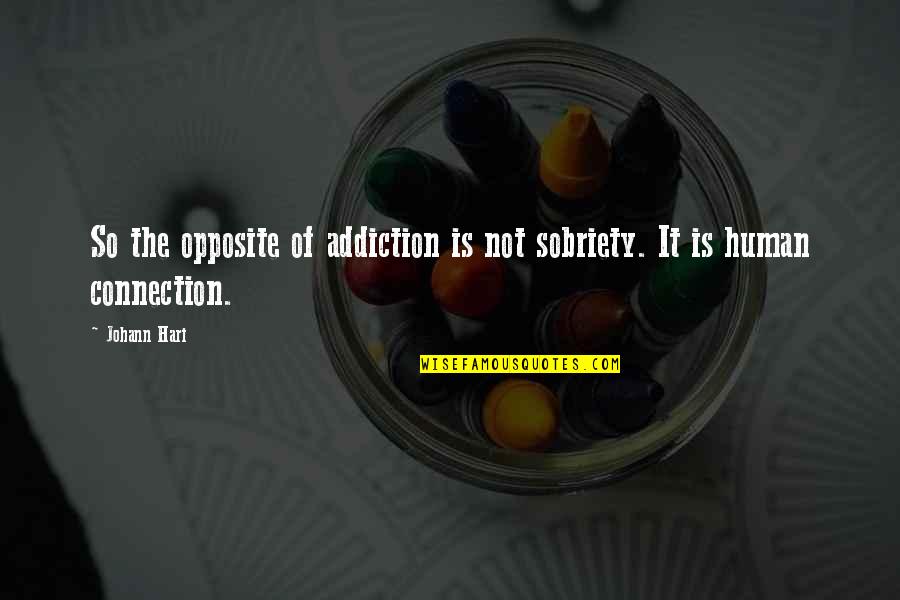Sobriety Quotes By Johann Hari: So the opposite of addiction is not sobriety.