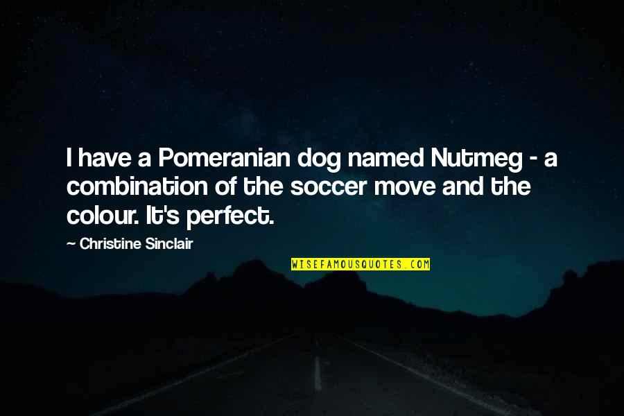 Soccer And Quotes By Christine Sinclair: I have a Pomeranian dog named Nutmeg - Soccer And Quotes By Christine Sinclair: I have a Pomeranian dog named Nutmeg -