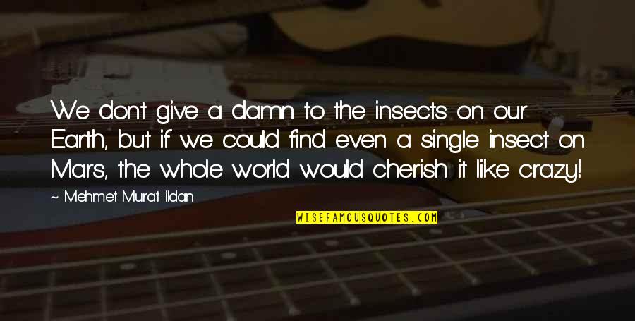 Soccer Keeper Quotes By Mehmet Murat Ildan: We don't give a damn to the insects Soccer Keeper Quotes By Mehmet Murat Ildan: We don't give a damn to the insects