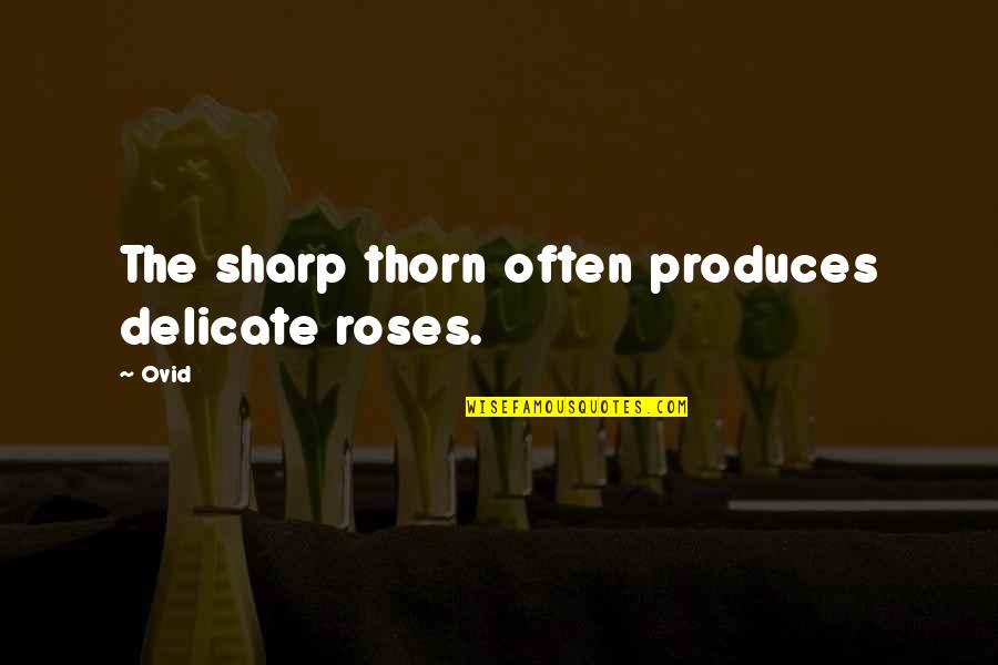 Sochuang Quotes By Ovid: The sharp thorn often produces delicate roses.