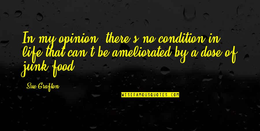 Sochy Na Quotes By Sue Grafton: In my opinion, there's no condition in life Sochy Na Quotes By Sue Grafton: In my opinion, there's no condition in life