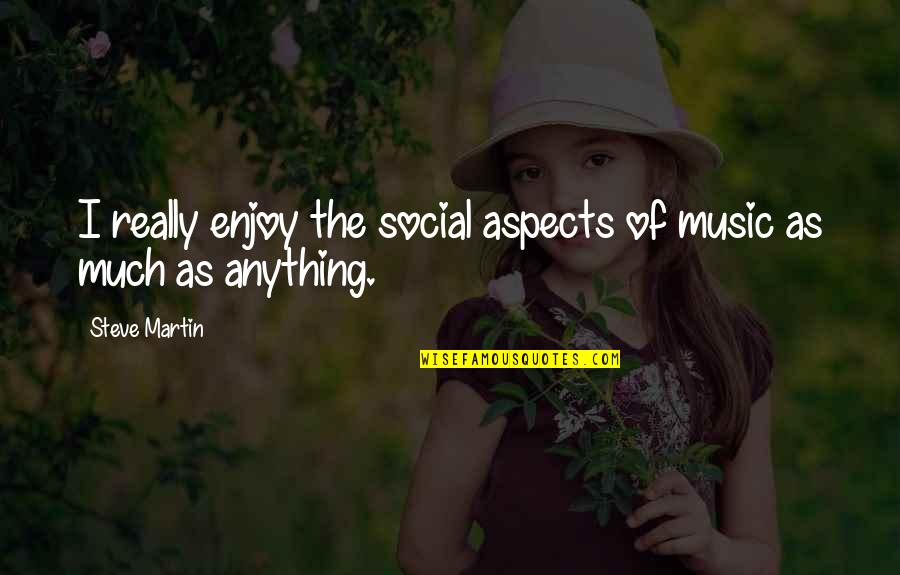 Social Aspect Quotes By Steve Martin: I really enjoy the social aspects of music