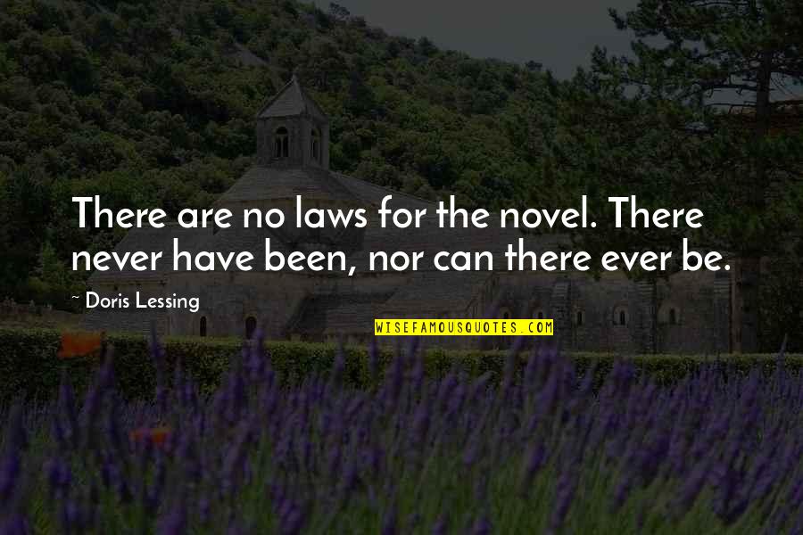 Social Class In A Tale Of Two Cities Quotes By Doris Lessing: There are no laws for the novel. There