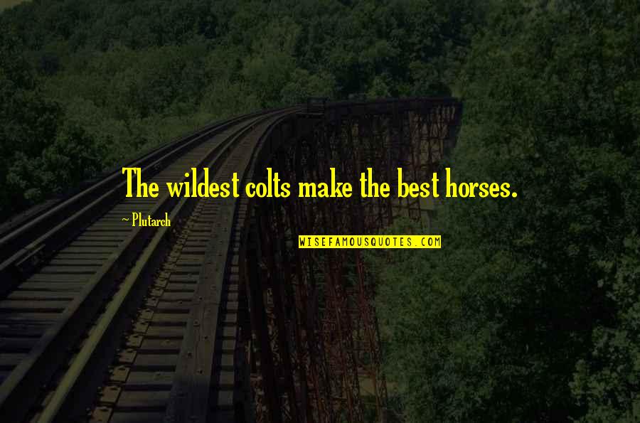 Social Class Pride And Prejudice Quotes By Plutarch: The wildest colts make the best horses.