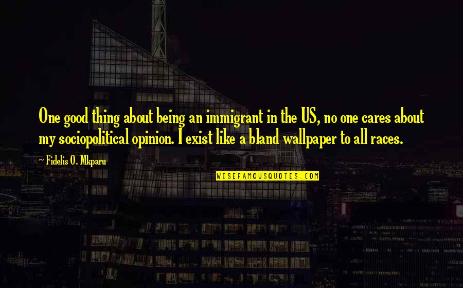 Social Commentary Quotes By Fidelis O. Mkparu: One good thing about being an immigrant in