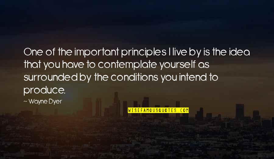 Social Construction Quotes By Wayne Dyer: One of the important principles I live by