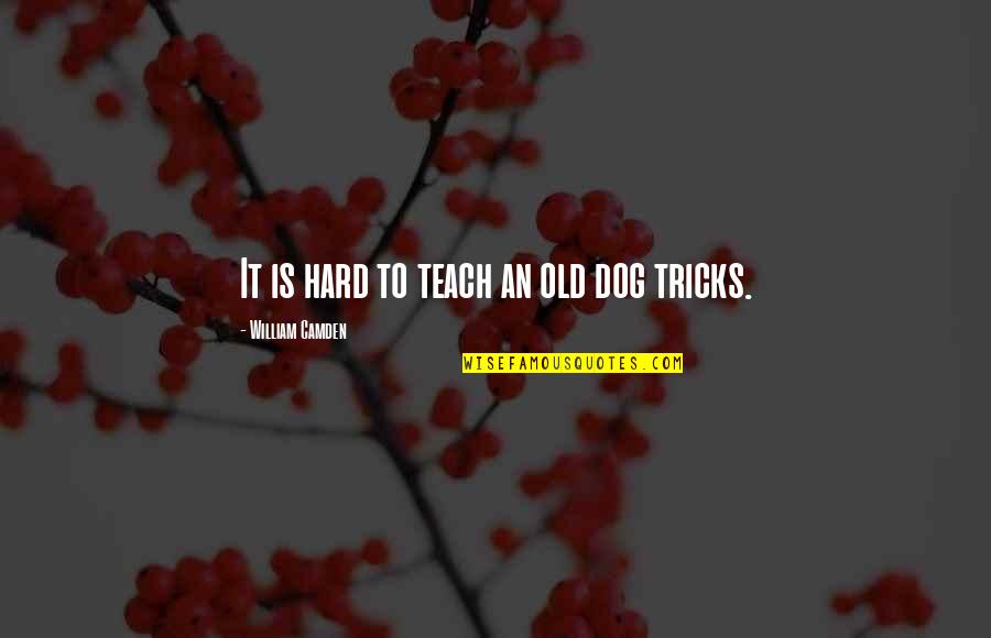 Social Distancing No Visit Quotes By William Camden: It is hard to teach an old dog