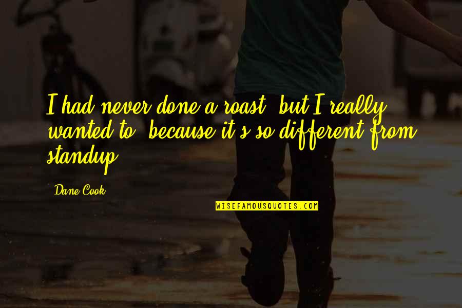 Social Diversity Quotes By Dane Cook: I had never done a roast, but I Social Diversity Quotes By Dane Cook: I had never done a roast, but I