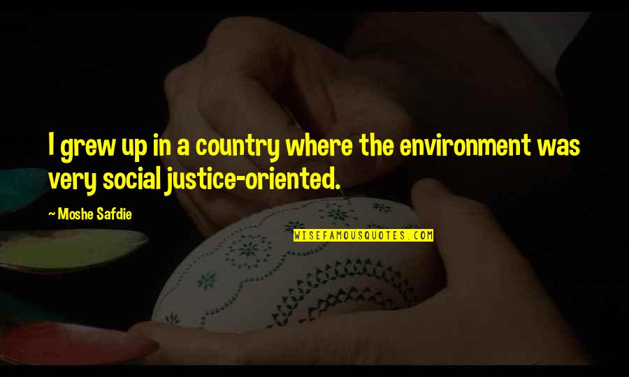 Social Environment Quotes By Moshe Safdie: I grew up in a country where the