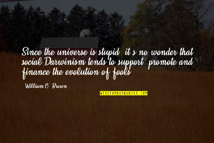 Social Evolution Quotes By William C. Brown: Since the universe is stupid, it's no wonder