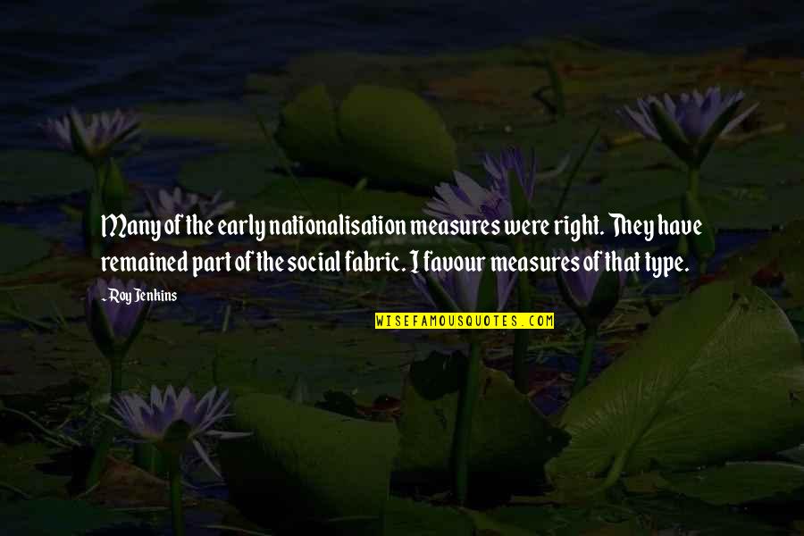 Social Fabric Quotes By Roy Jenkins: Many of the early nationalisation measures were right.