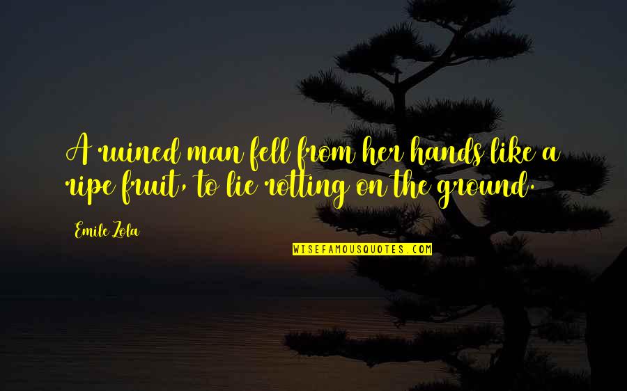 Social Hierarchy Quotes By Emile Zola: A ruined man fell from her hands like