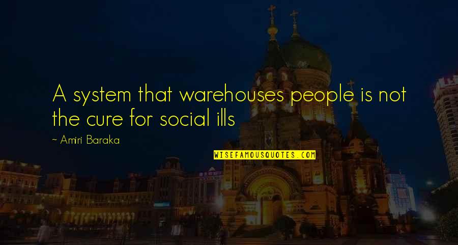 Social Ills Quotes By Amiri Baraka: A system that warehouses people is not the