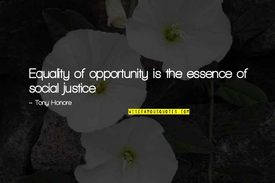 Social Justice And Equality Quotes By Tony Honore: Equality of opportunity is the essence of social