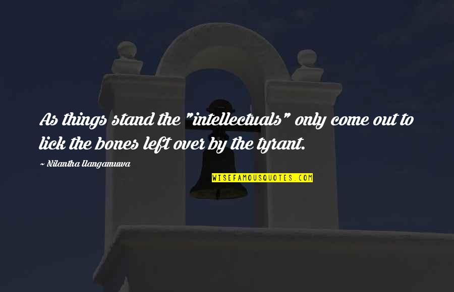 Social Justice Quotes By Nilantha Ilangamuwa: As things stand the "intellectuals" only come out