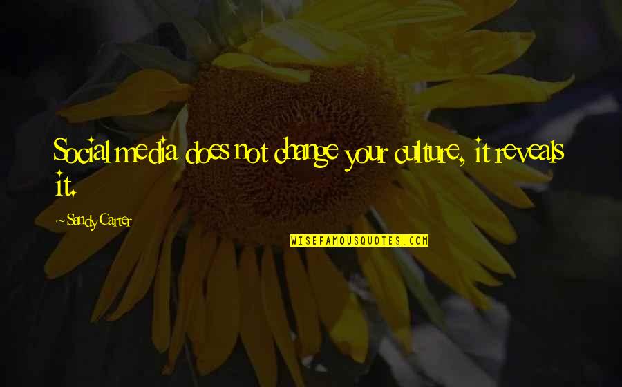 Social Media Change Quotes By Sandy Carter: Social media does not change your culture, it Social Media Change Quotes By Sandy Carter: Social media does not change your culture, it