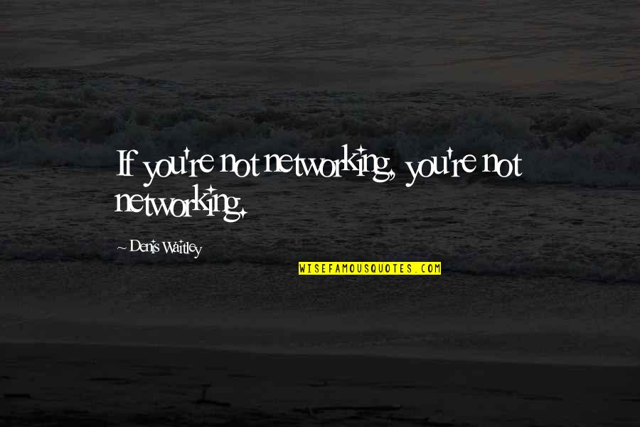 Social Network Quotes By Denis Waitley: If you're not networking, you're not networking.