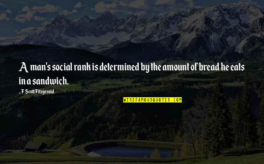 Social Rank Quotes By F Scott Fitzgerald: A man's social rank is determined by the