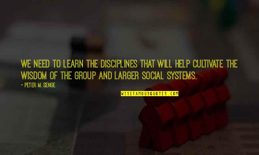 Social Systems Quotes By Peter M. Senge: We need to learn the disciplines that will Social Systems Quotes By Peter M. Senge: We need to learn the disciplines that will